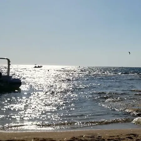 公寓 Casa Vacanze Il Mirto 贡内萨
