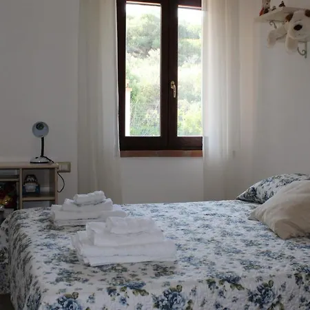 公寓 Casa Vacanze Il Mirto 贡内萨