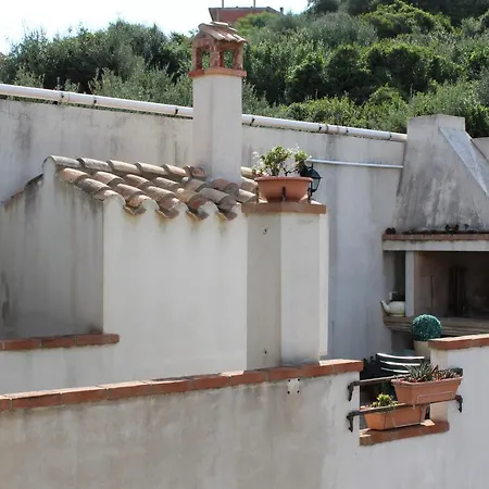 公寓 Casa Vacanze Il Mirto 贡内萨